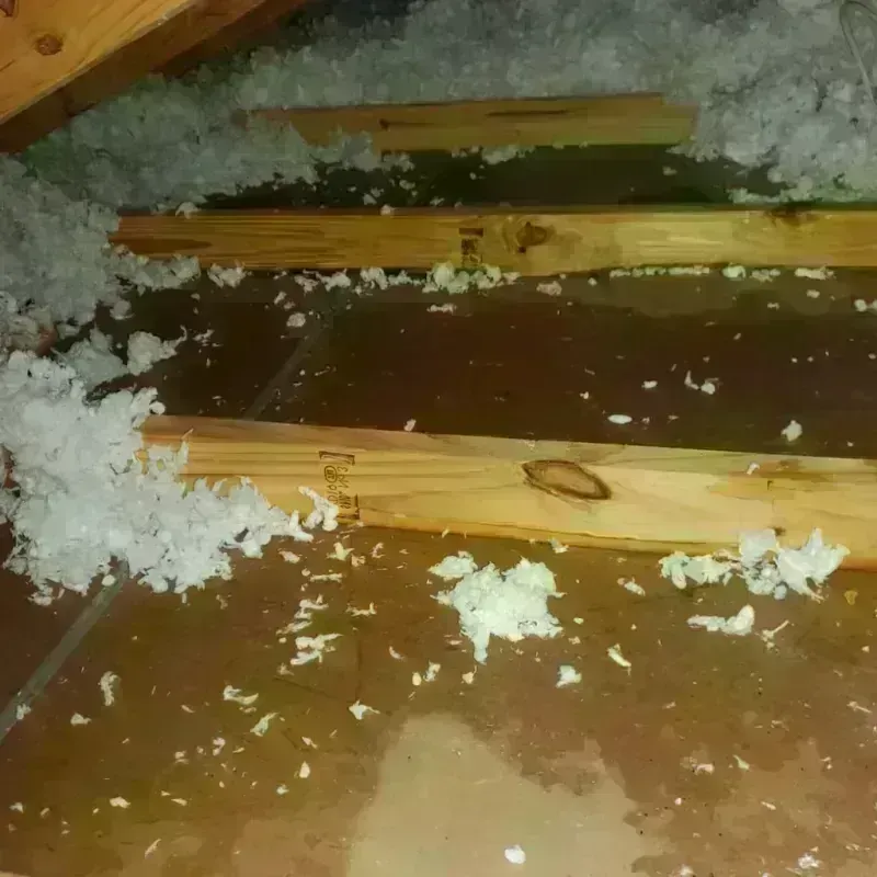 Attic Water Damage in White County, TN